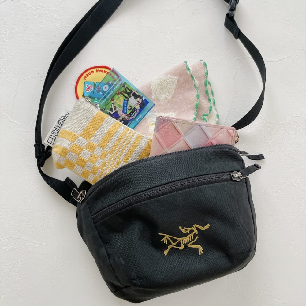 ARC’TERYX / MANTIS1 WAISTPACK