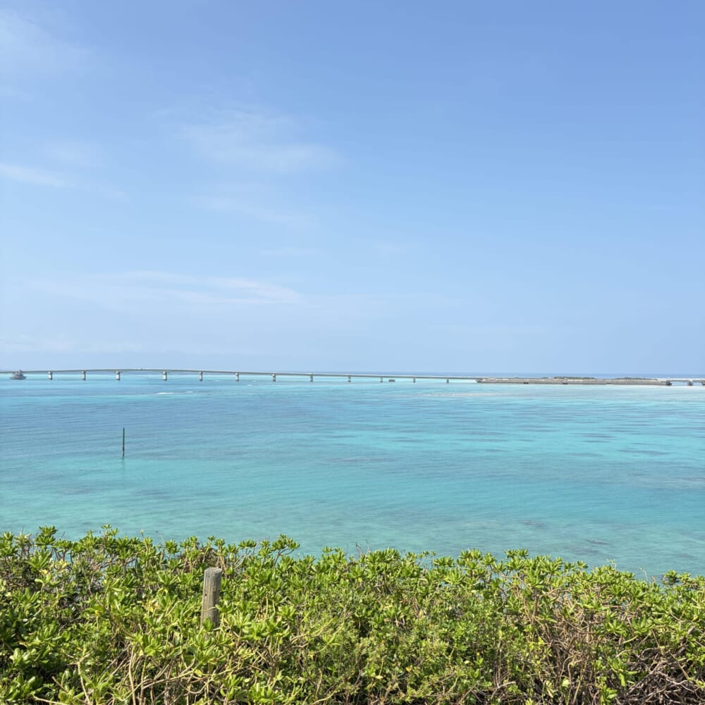宮古島 ハリーズ ガーリックシュリンプ