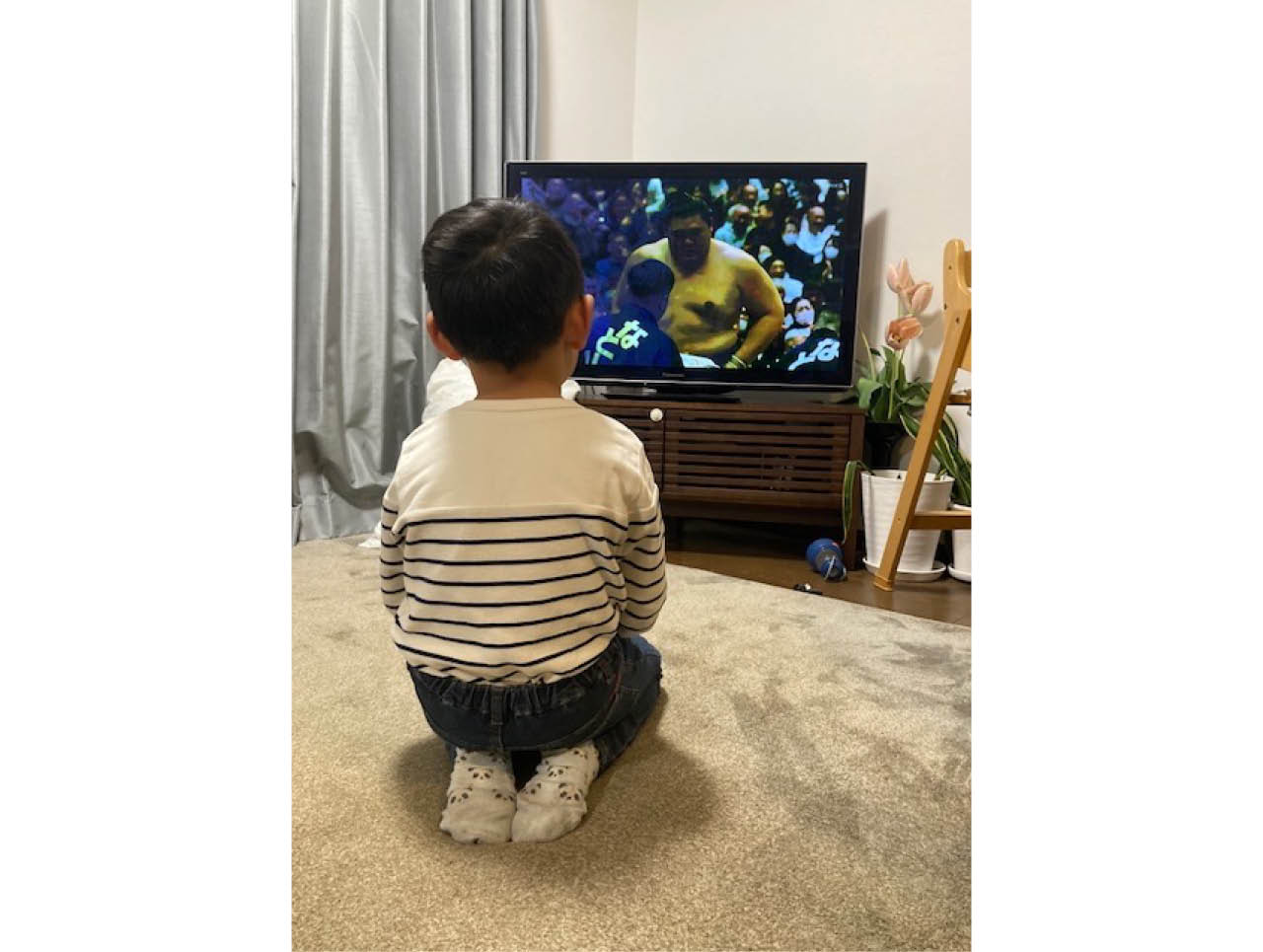 大相撲中継をテレビの前で正座で観戦する長男。(ましゅさん)