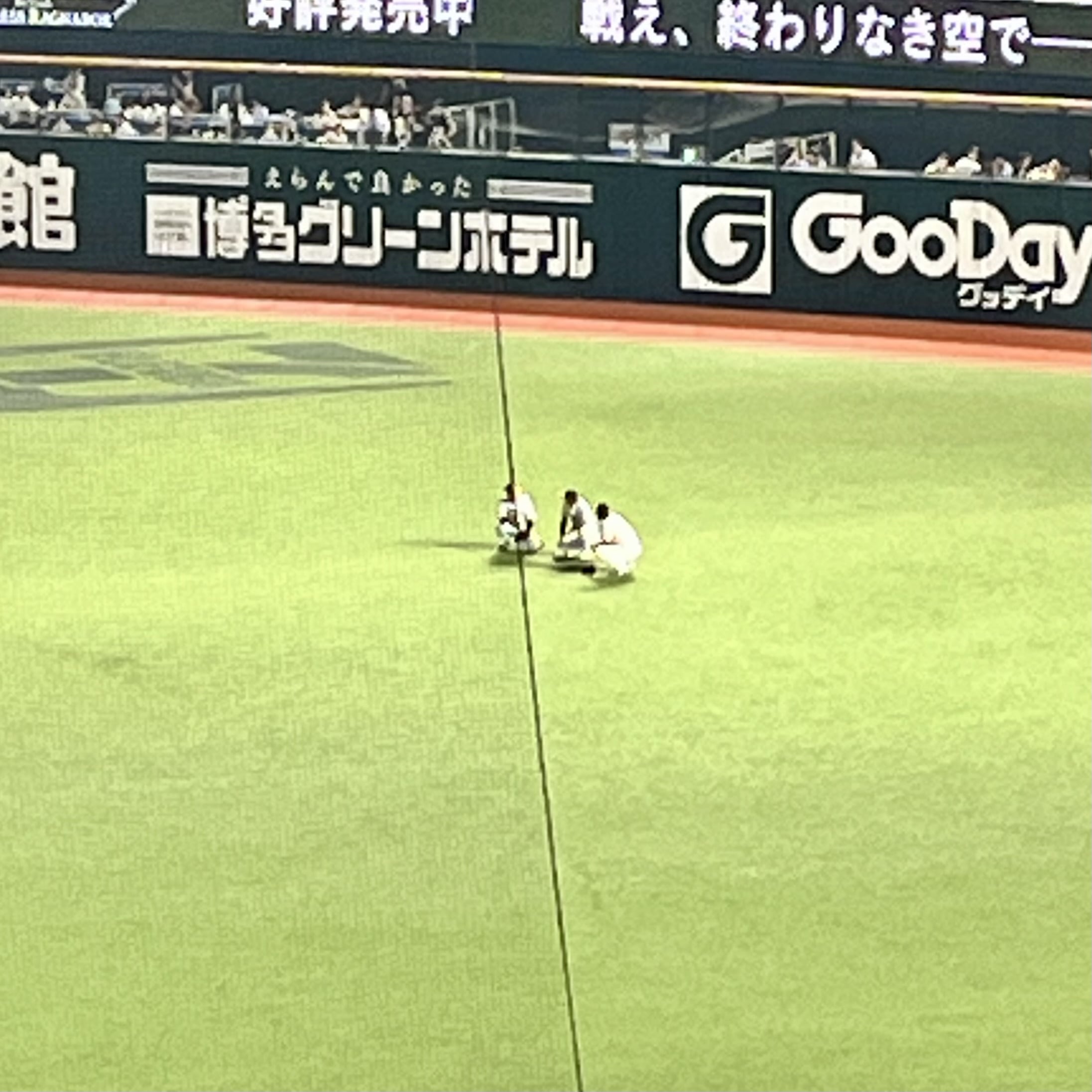 野球