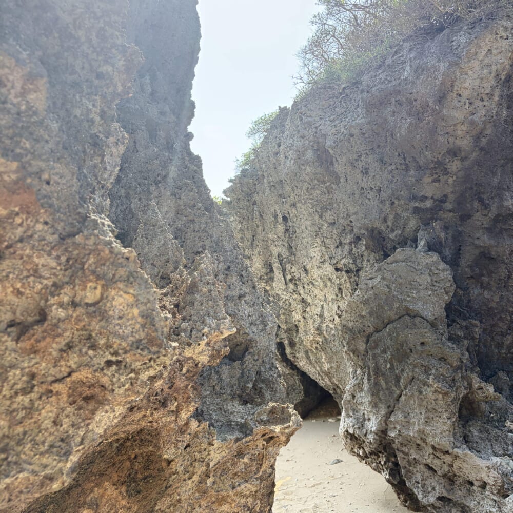 ninufaジェラート 宮古島 海が見えるカフェ