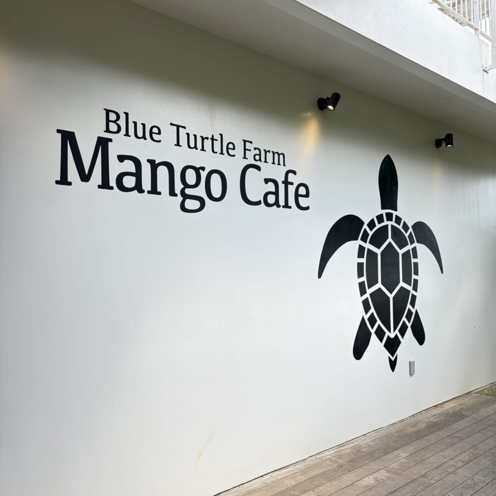 ブルータートル マンゴーカフェ 宮古島