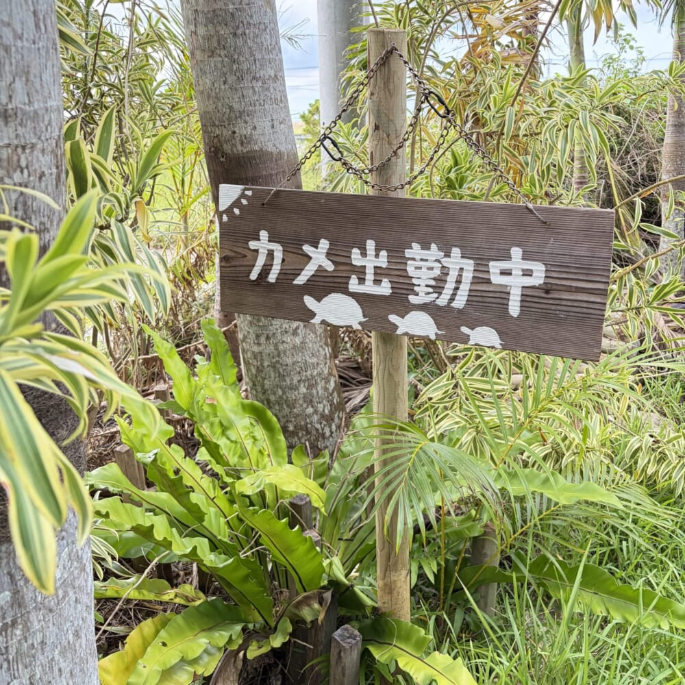 ブルータートル マンゴーカフェ 宮古島