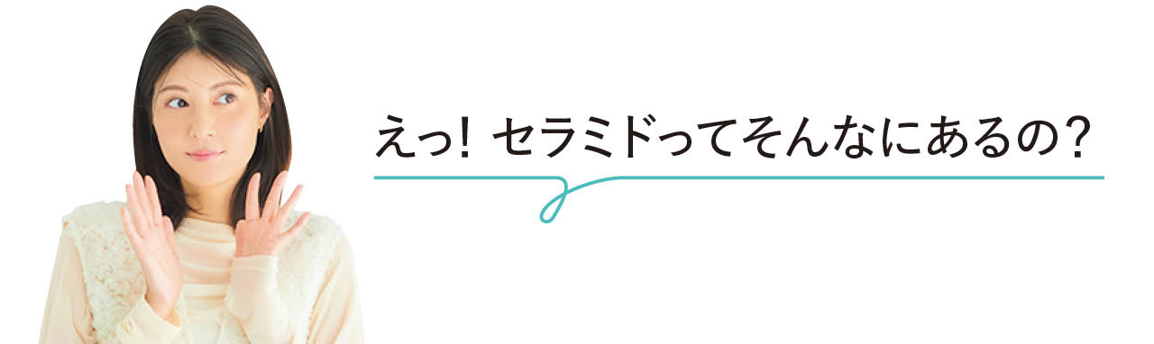 佐藤ありささん「えっ! セラミドってそんなにあるの?」