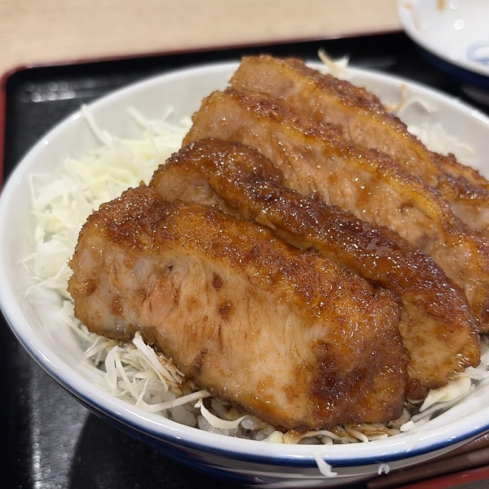 ソースかつ丼 分厚いお肉