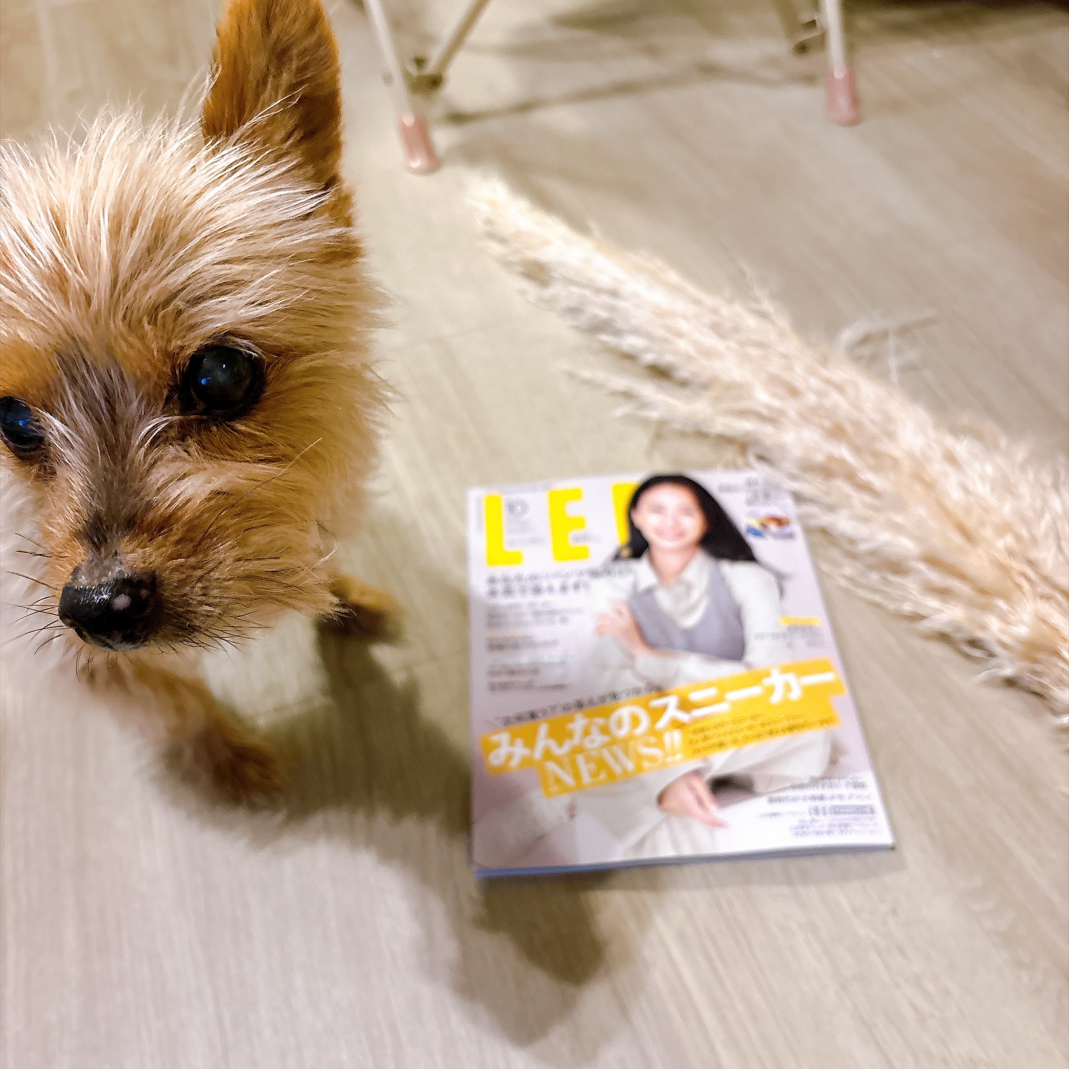 LEE2026/10月号