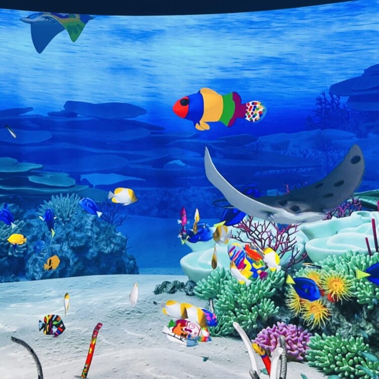 鴨川シーワールド デジタル技術を使った展示