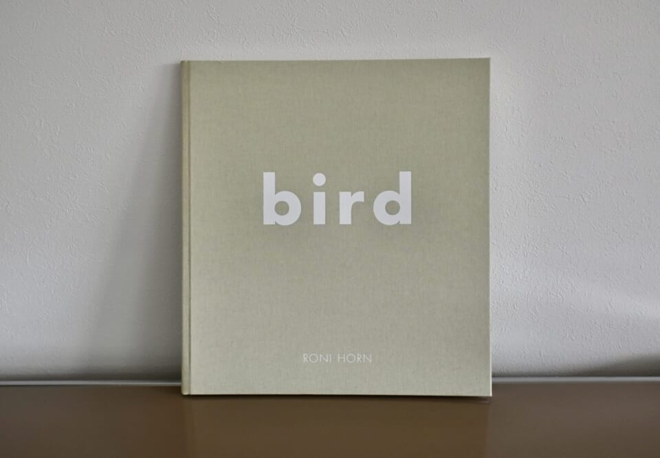 BIRD ロニ・ホーン 作品集