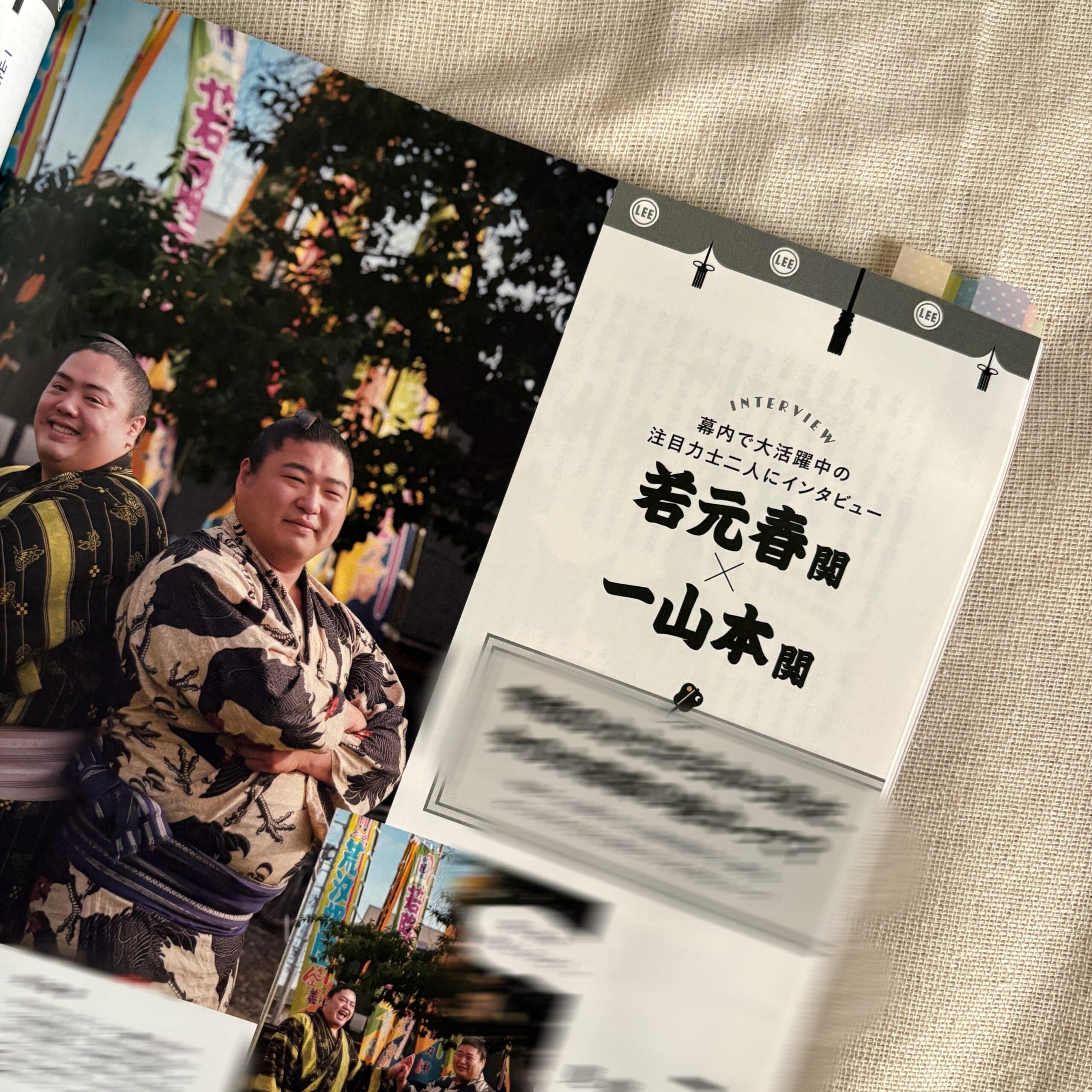 LEE10月号レビュー 推し活 大相撲