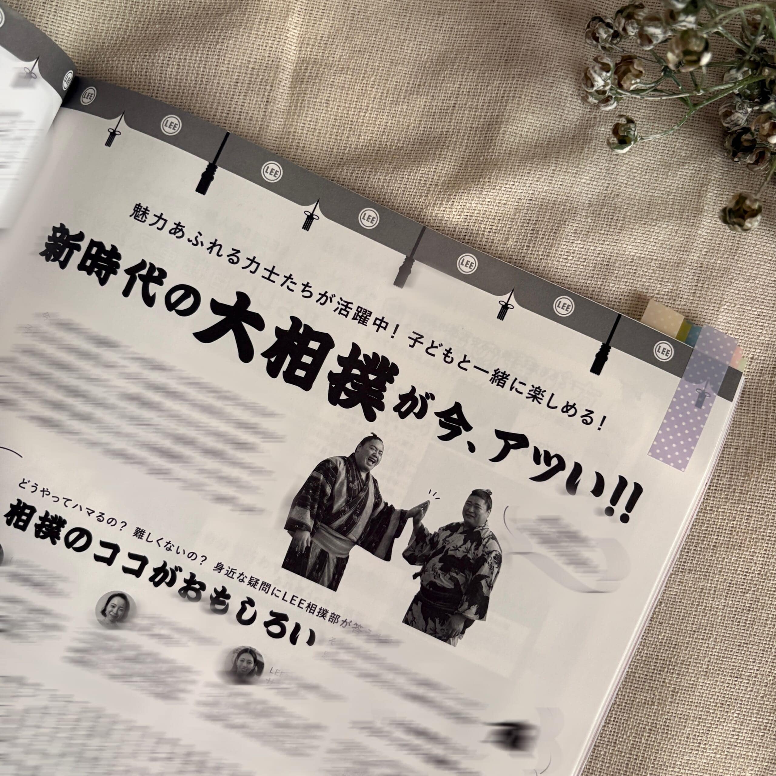 LEE10月号レビュー 大相撲