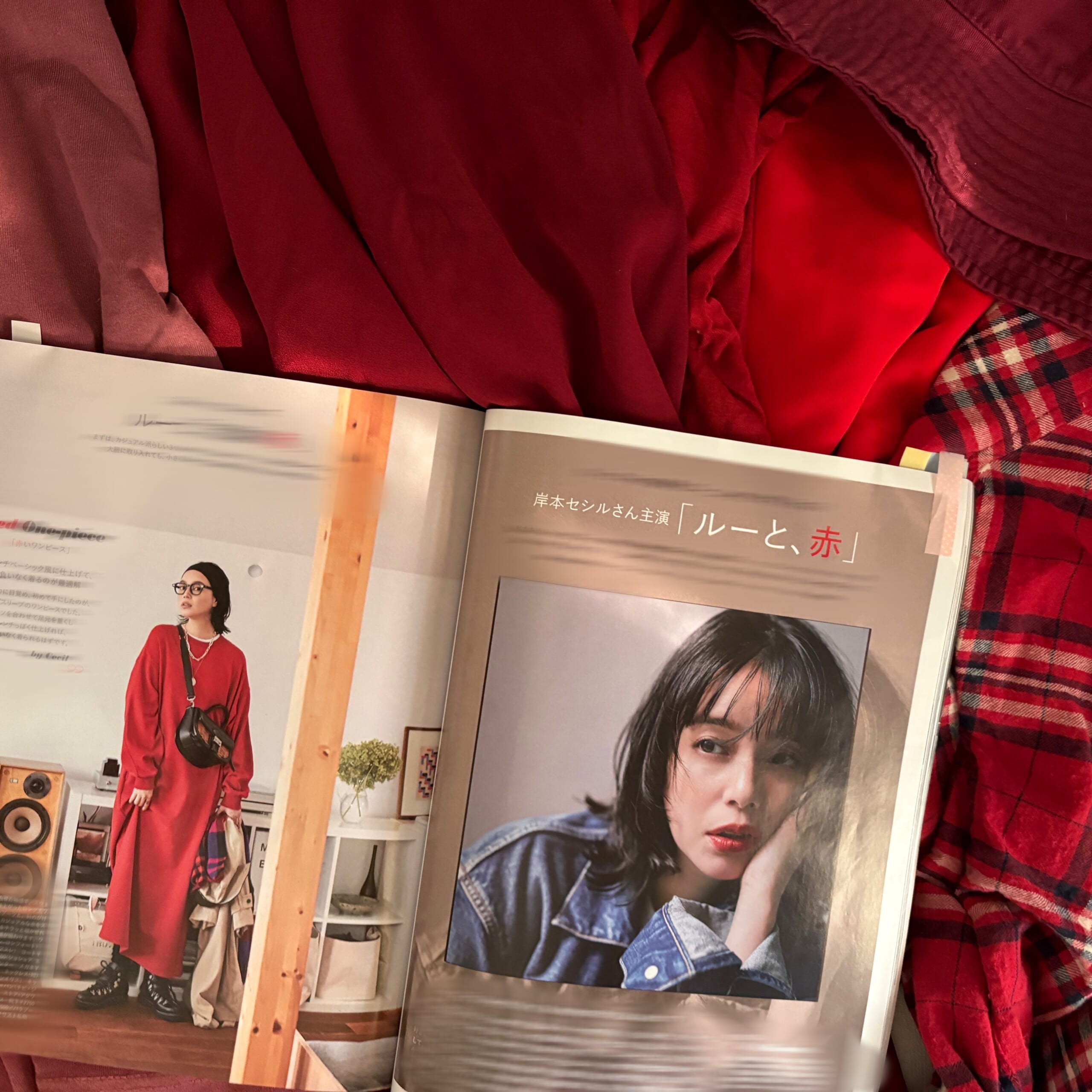 LEE10月号レビュー 赤