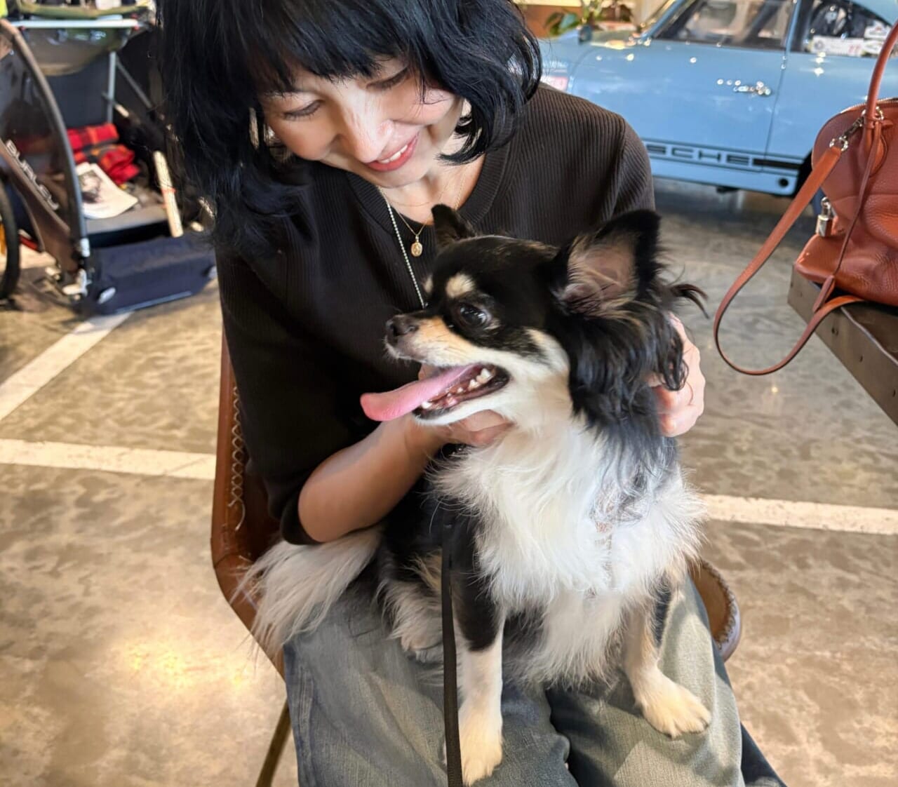 ペットOKカフェ 愛犬 チワワ