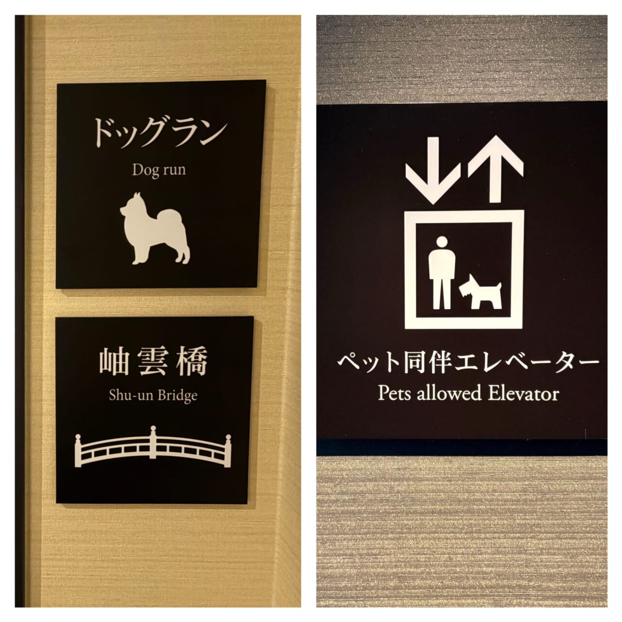 ペット同伴ホテル 湯河原旅行 ドッグラン