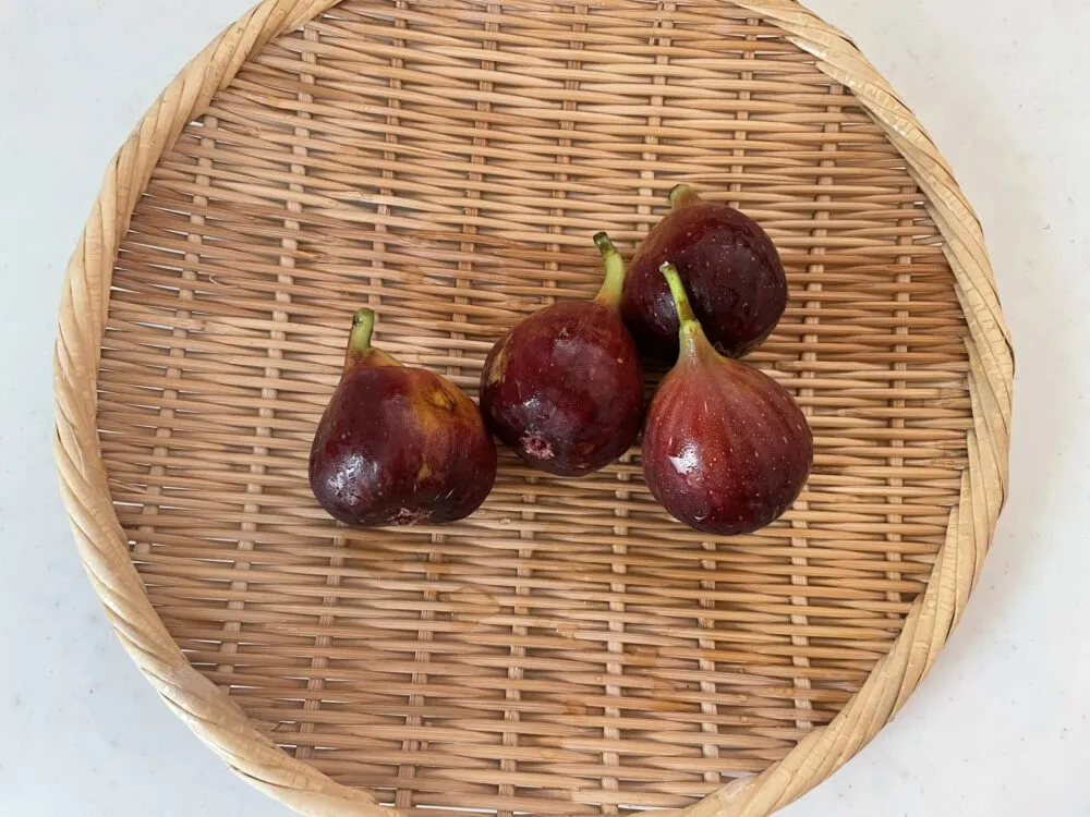 「ドライいちじく」 材料のいちじく