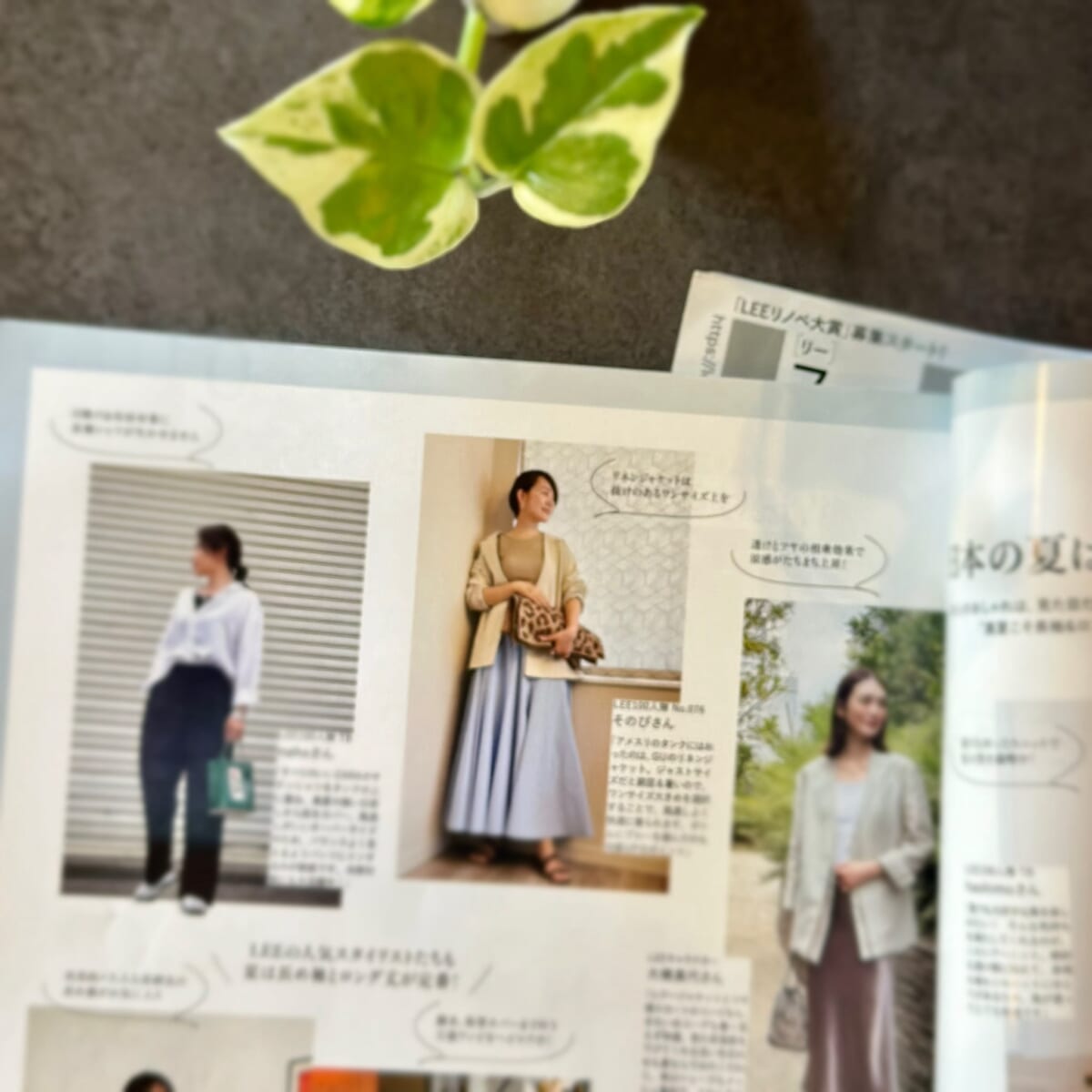 LEE100人隊が掲載されているLEE誌面