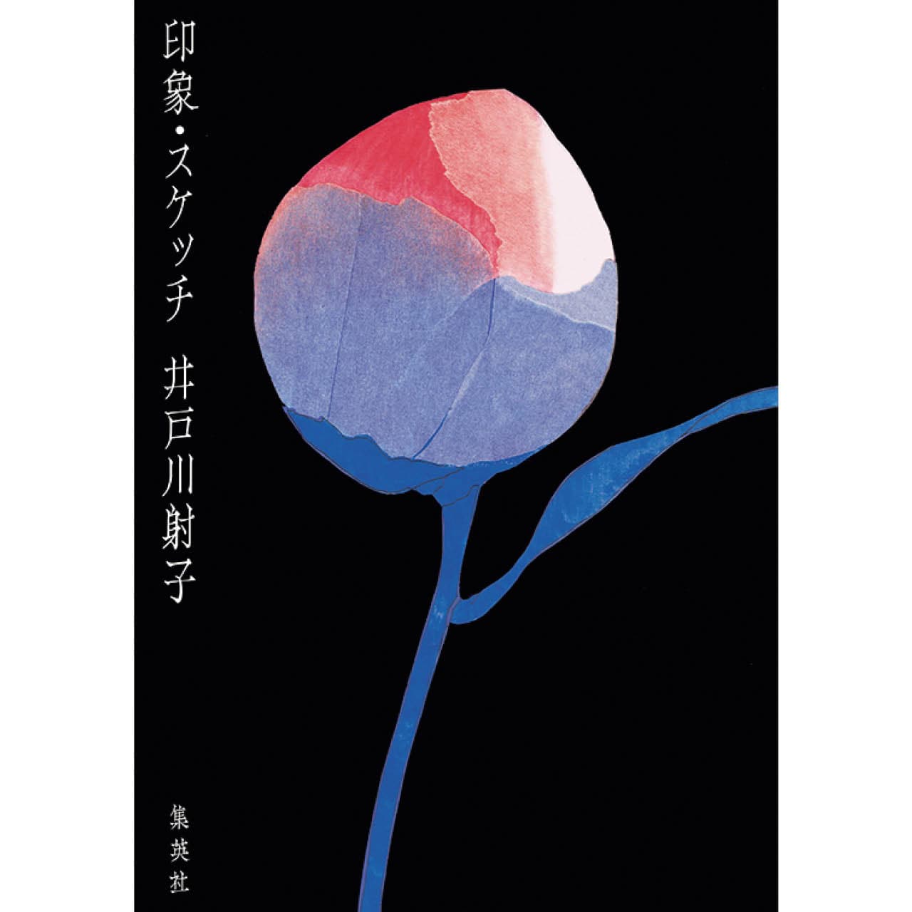 『印象・スケッチ』井戸川射子 ¥1870/集英社
