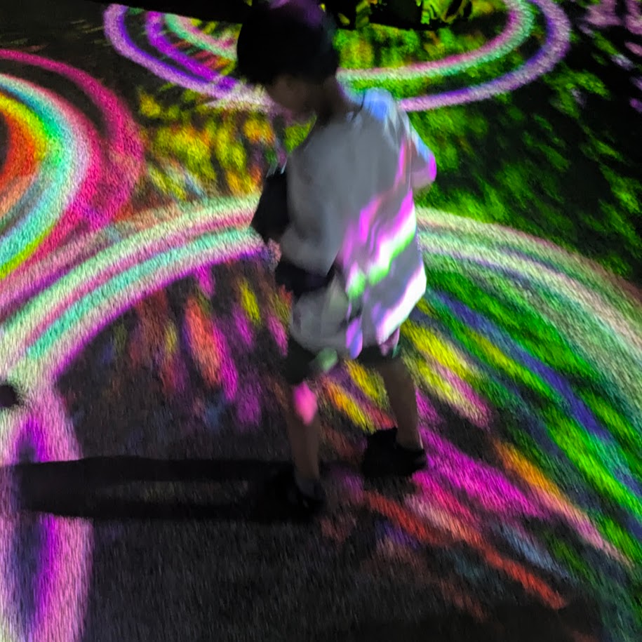 子供 名古屋城 ライトアップ