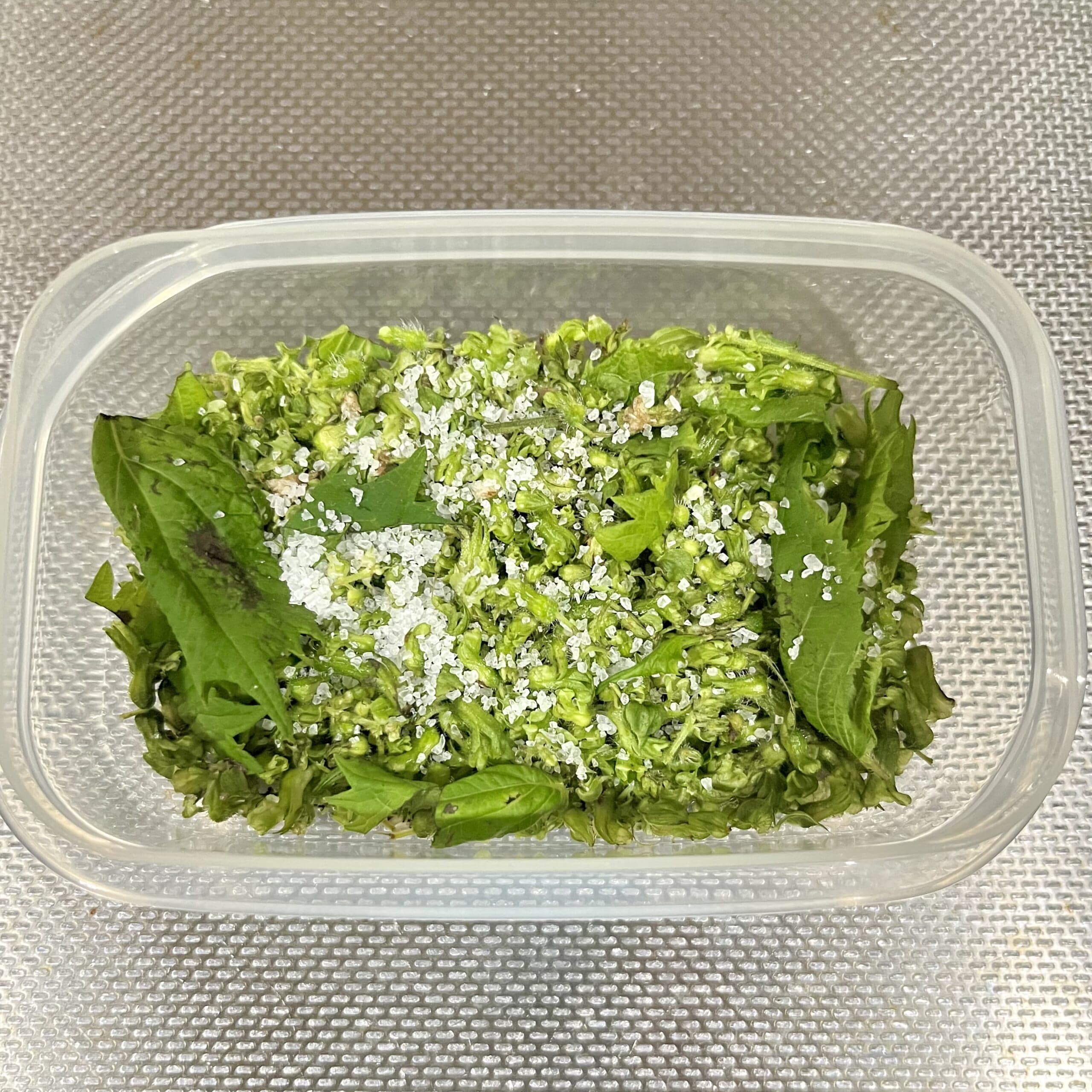 しそ