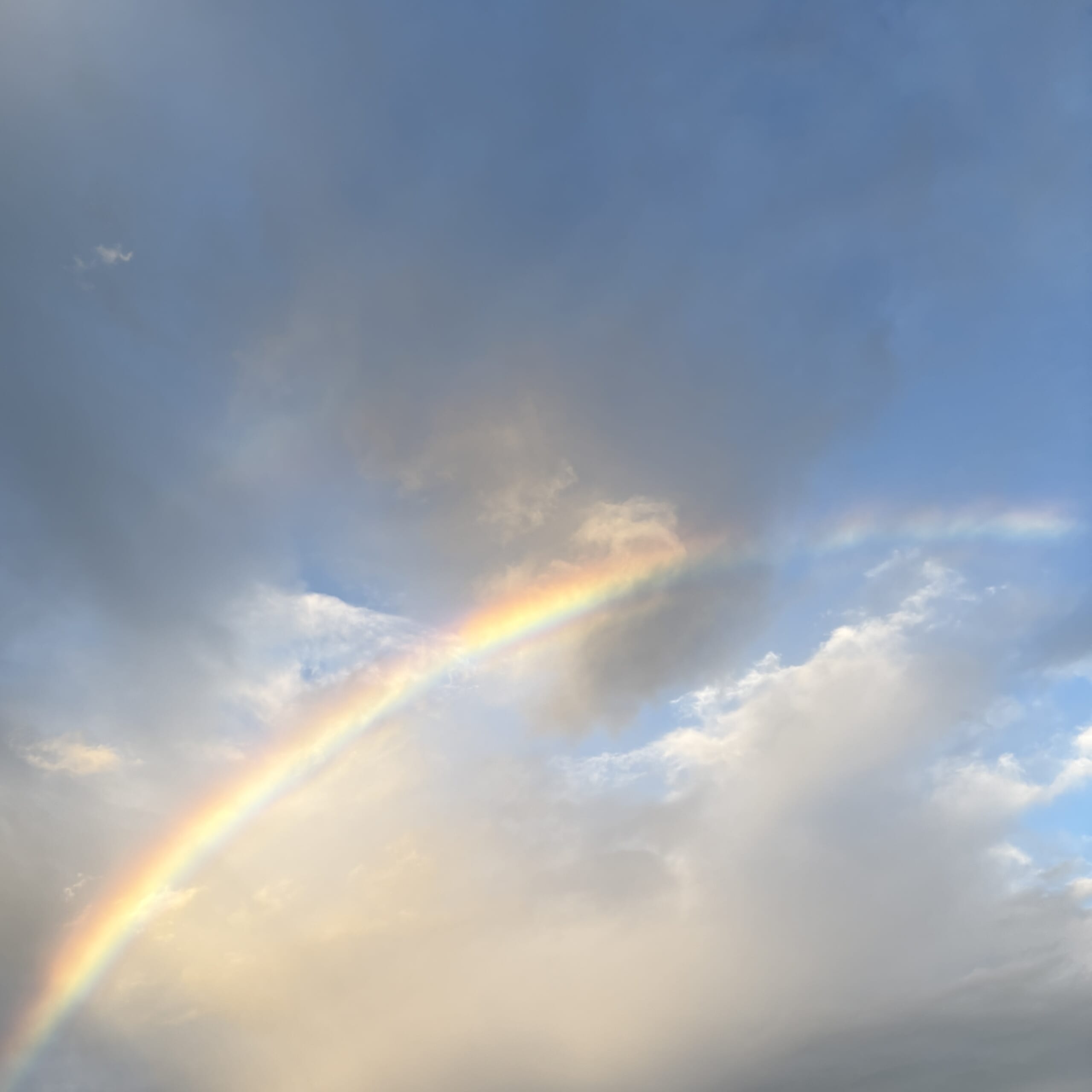 雨上がりの虹