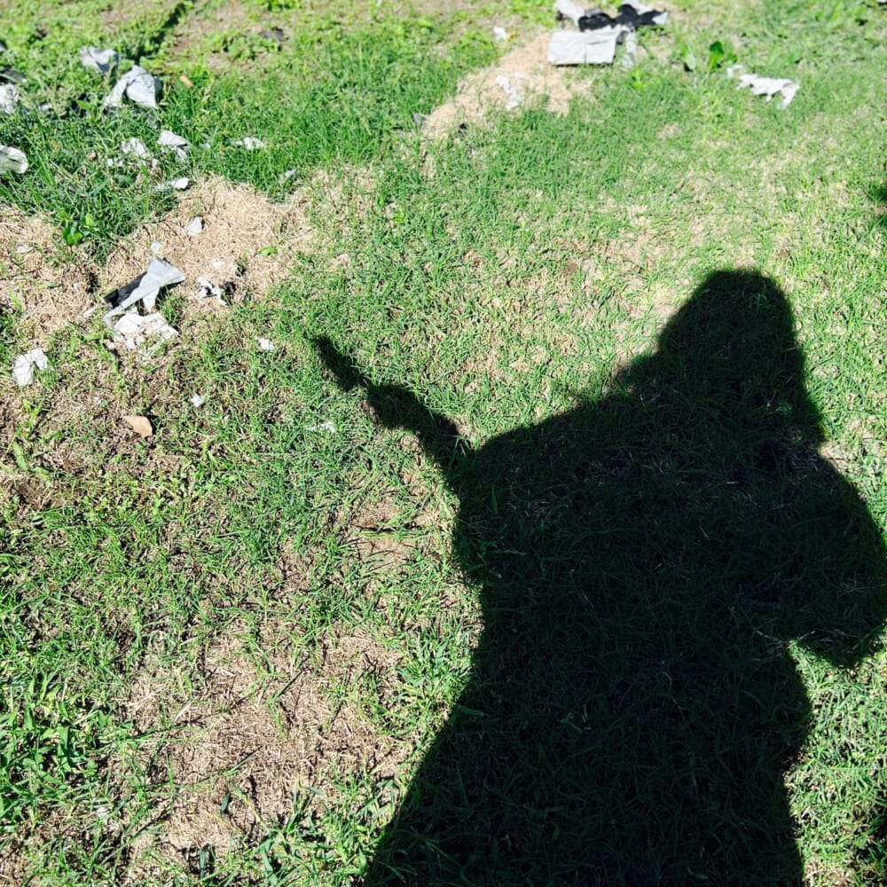 【長野県小布施】自然農園冨岡 りんごもぎ取り体験 りんご狩り