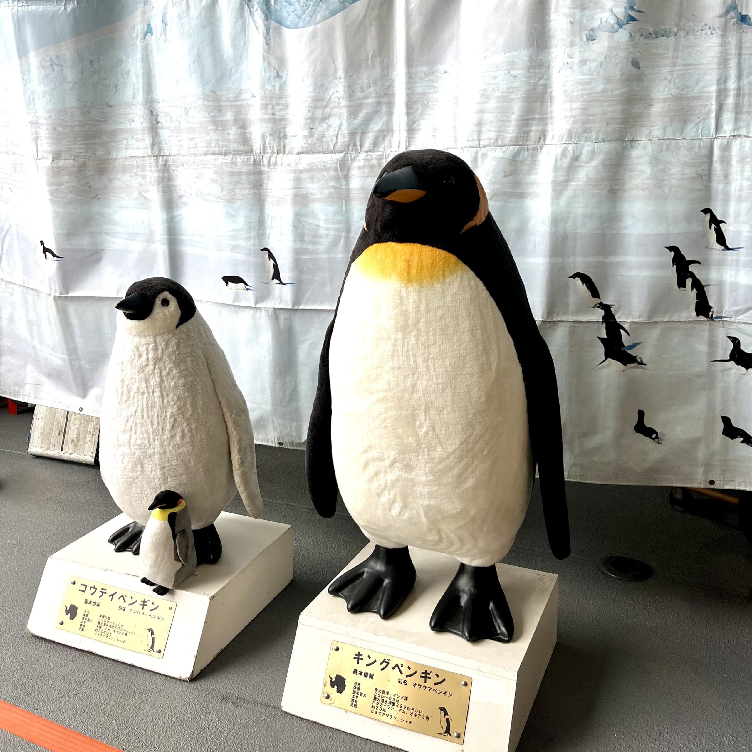 ペンギン　ぬいぐるみ