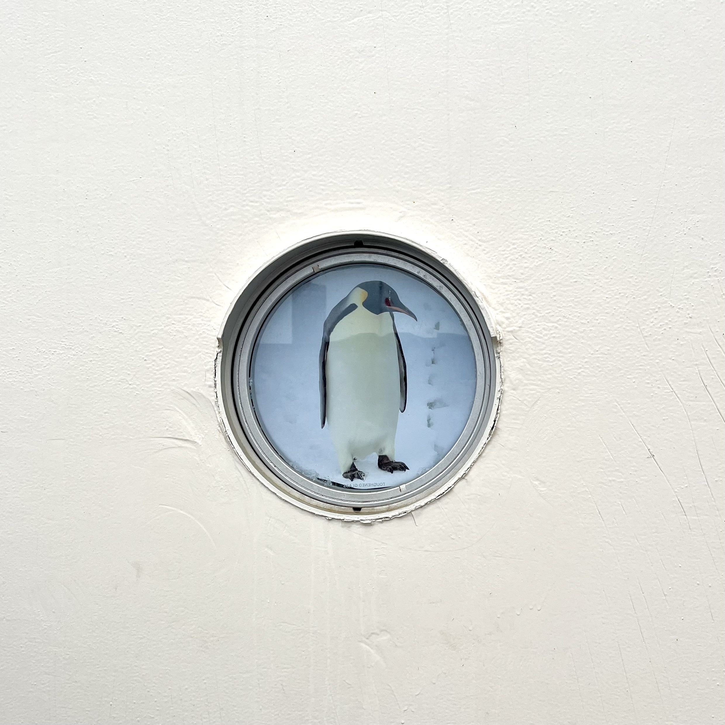 写真　船