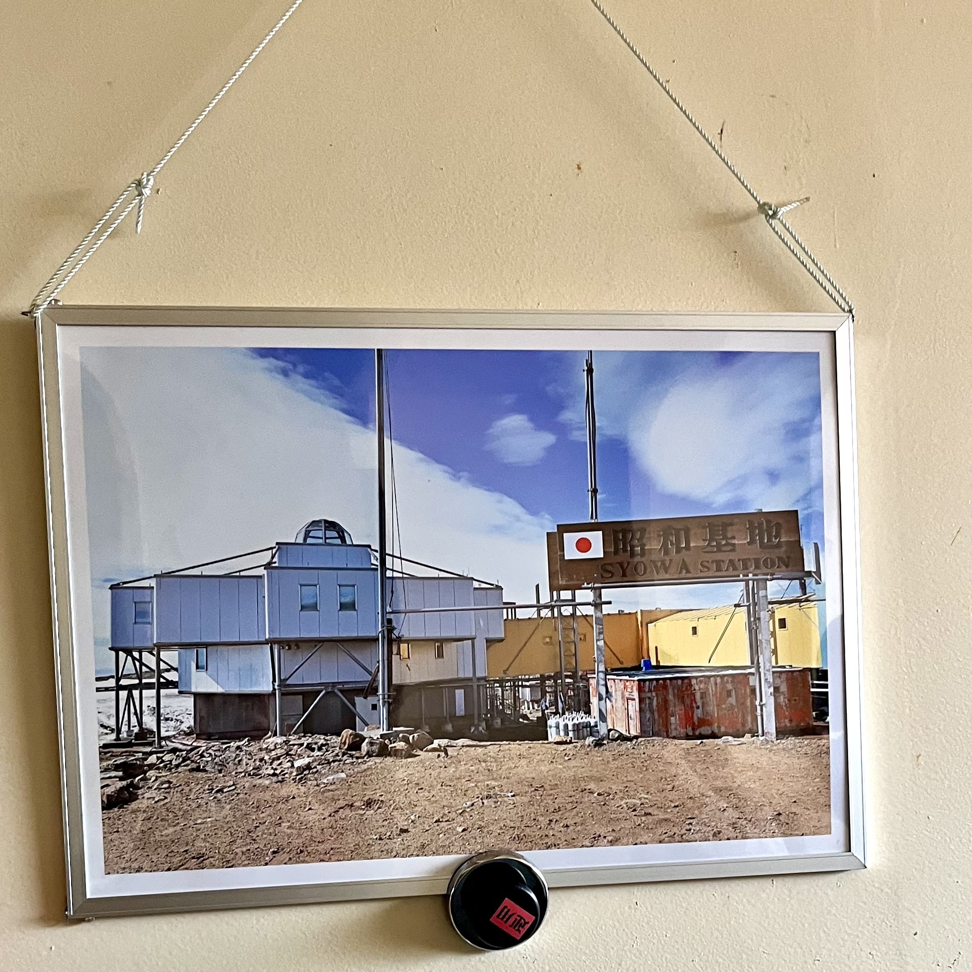 写真　パネル