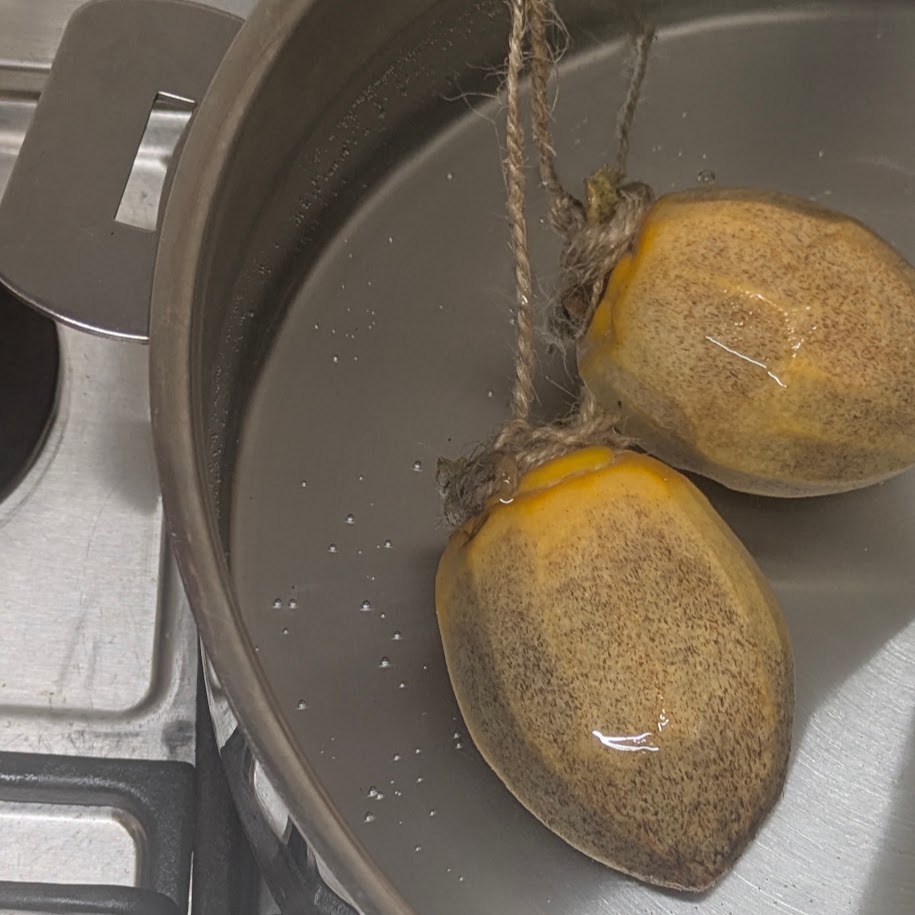干し柿作り　湯煎消毒　コポ
