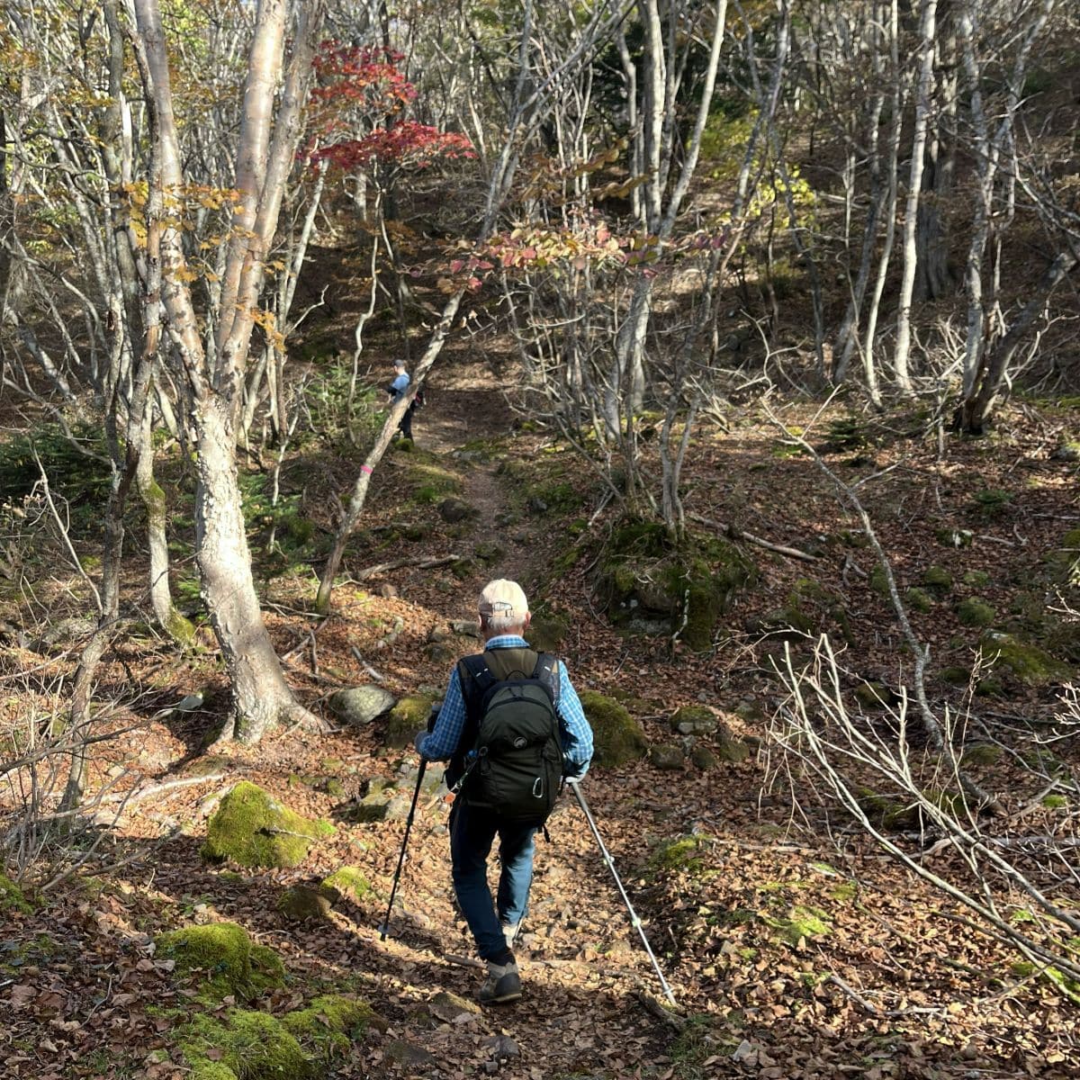 父との登山
