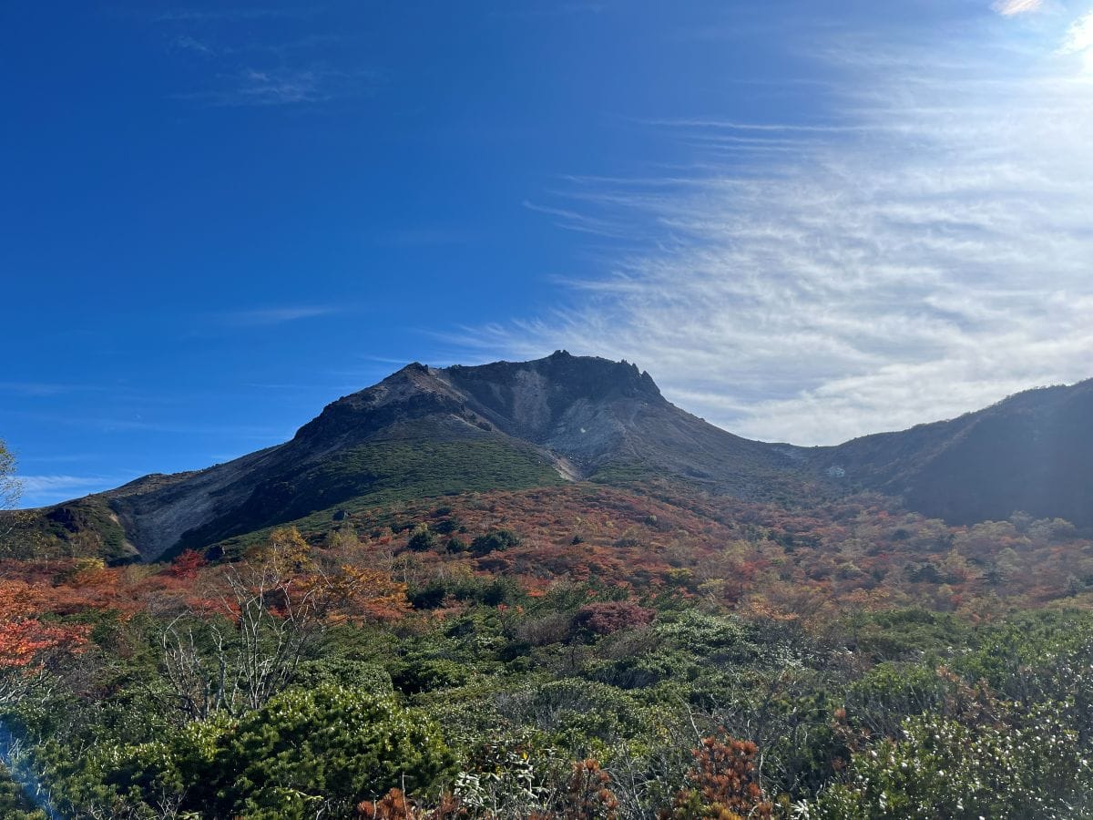 茶臼岳の紅葉
