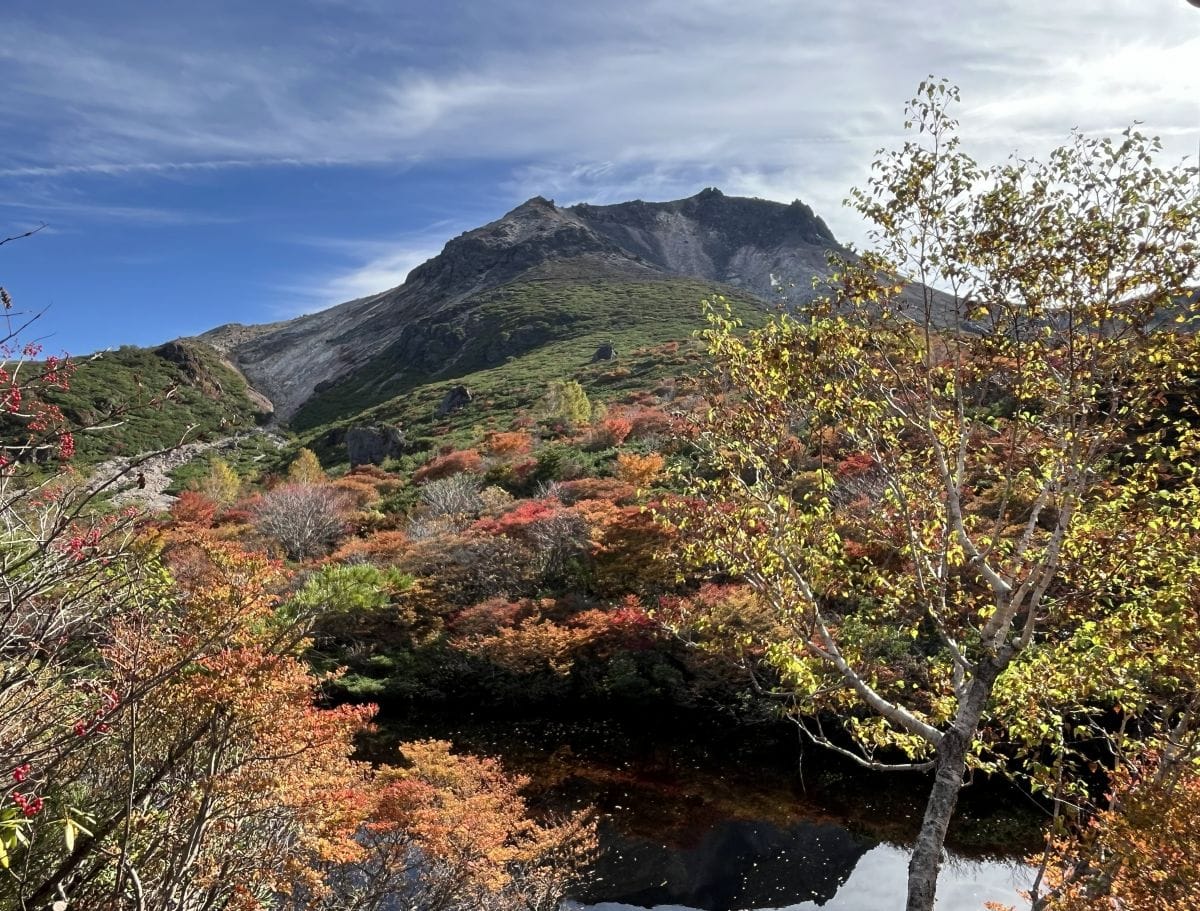茶臼岳の紅葉