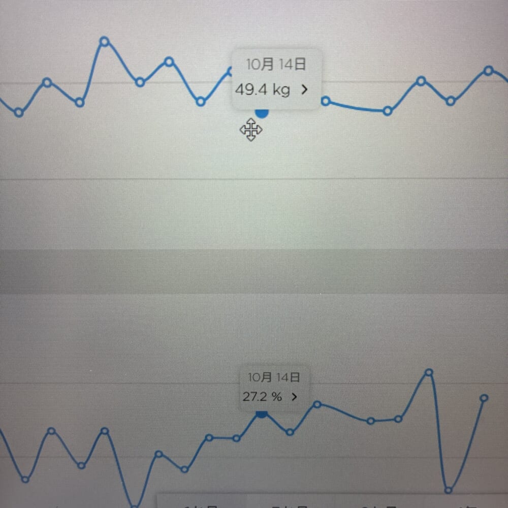 ダイエット　体重　体脂肪率