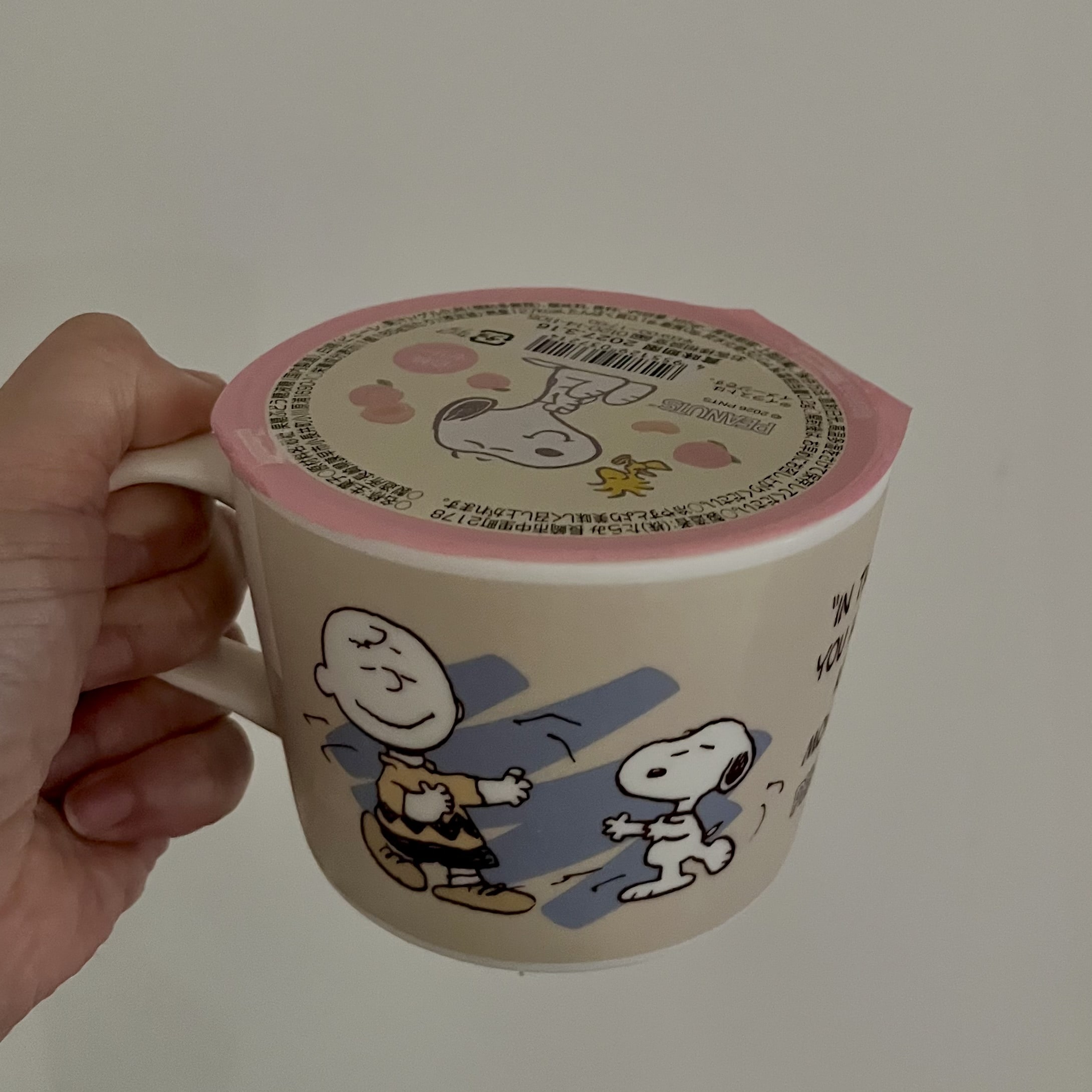 マグカッブ　ゼリー