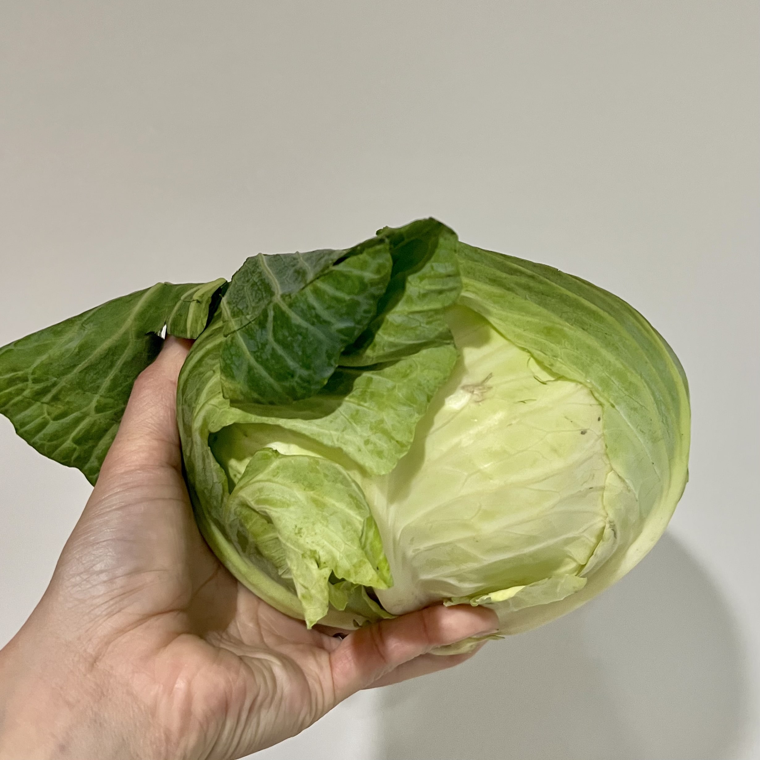 キャベツ 野菜