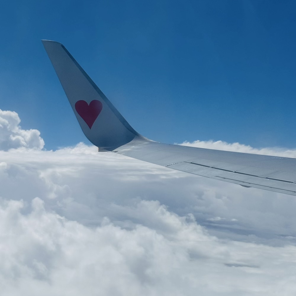 スカイマーク　飛行機