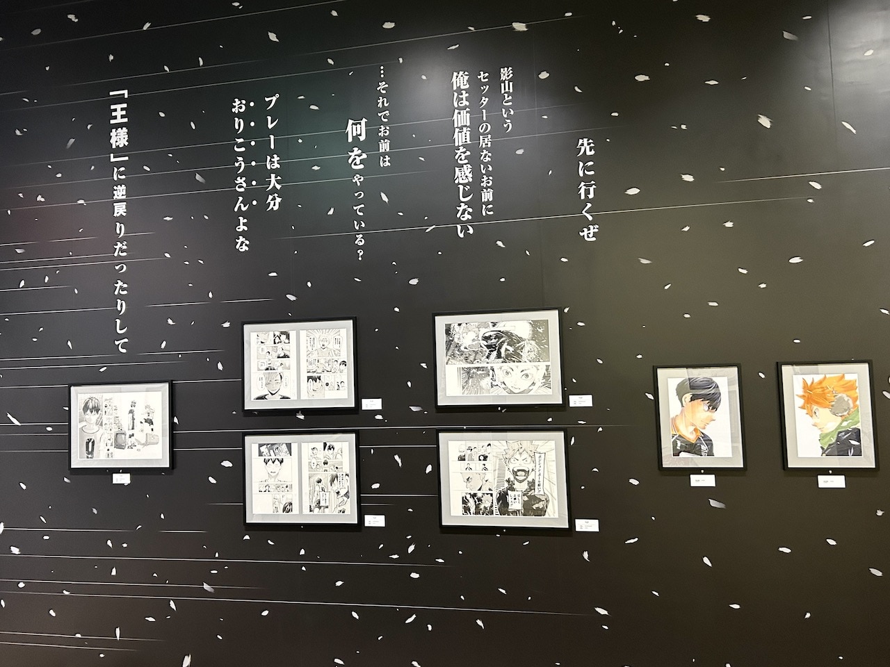 古舘春一 ハイキュー!!展 挑戦者たち「ZONE2 いざ全国の頂へ」展示