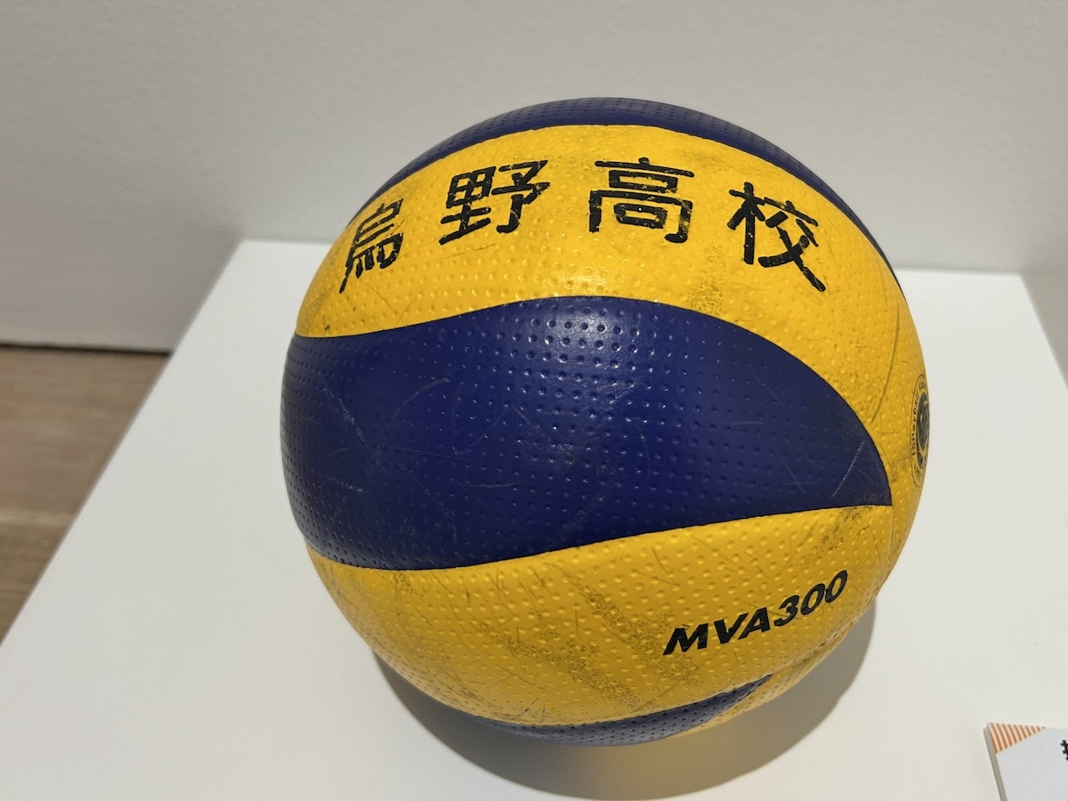 烏野高校のバレーボール